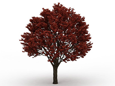 秋叶大树模型3d模型