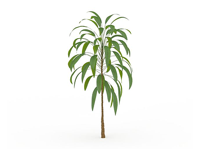 3d狭长绿叶植物模型