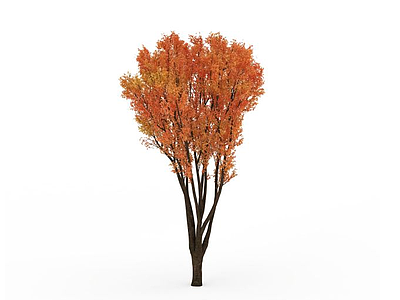 3d分枝黄叶树模型