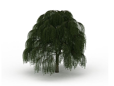柳树模型3d模型