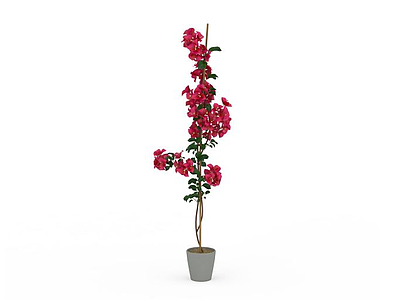 粉红花朵盆栽模型