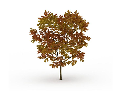 3d秋天黄叶树木模型