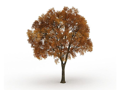 秋天黄叶大树模型
