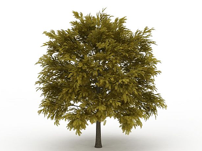 大型绿叶树模型3d模型