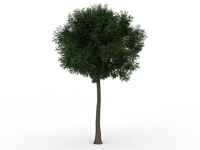 3d茂密绿叶树免费模型