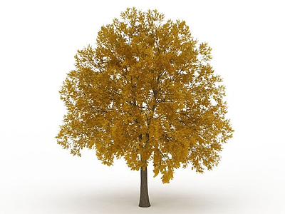 3d黄叶茂密树木免费模型