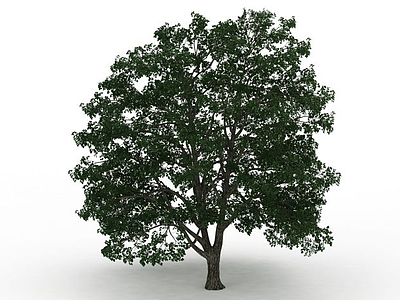 3d绿化树木免费模型