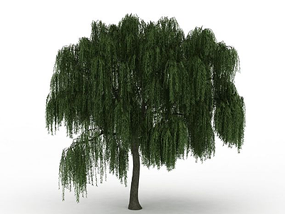 公园柳树模型3d模型