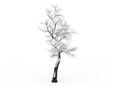 落雪枣树模型3d模型