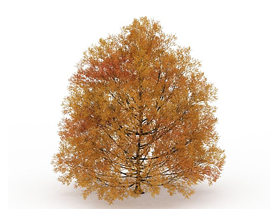 3d黄叶大树冠树木免费模型