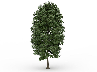 3d绿叶杨树免费模型