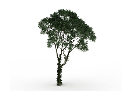 3d茂盛伞状树木模型