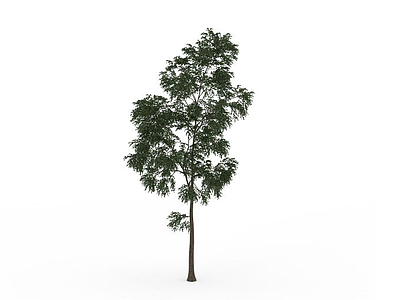 3d公园景观树免费模型