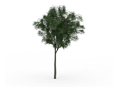 小型槐树模型3d模型