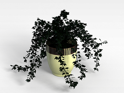 常春藤盆栽模型3d模型