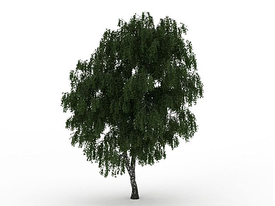 茂密树木模型3d模型