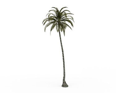 3d椰树模型