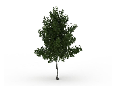 3d<font class='myIsRed'>景观树</font>木模型