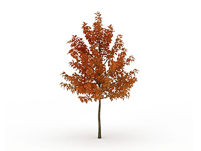 黄叶绿化树模型3d模型