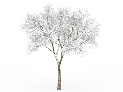 大树冠挂雪树模型3d模型