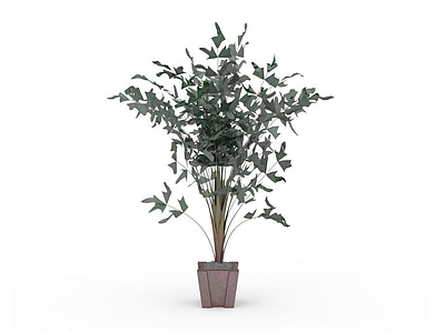 室内盆栽模型3d模型