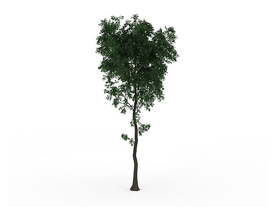 3d<font class='myIsRed'>绿化树</font>免费模型