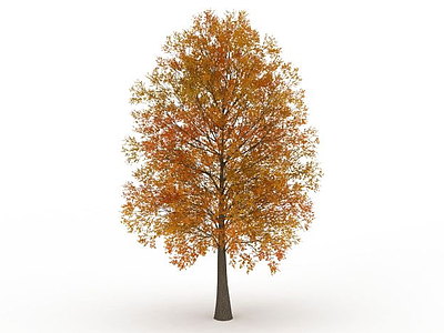 黄色叶子绿化树模型3d模型