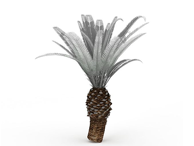 3d菠萝灌木免费模型