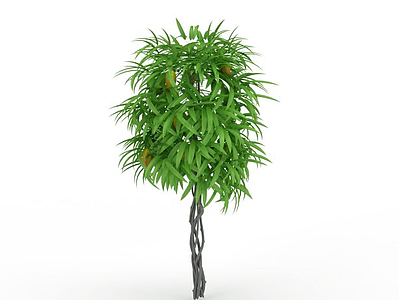 尖叶灌木模型3d模型