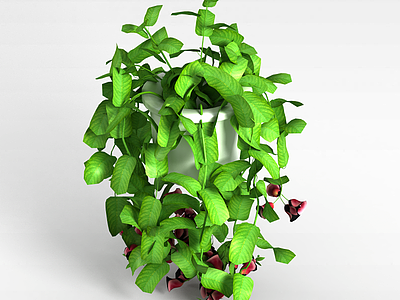 大型鲜花盆栽模型3d模型