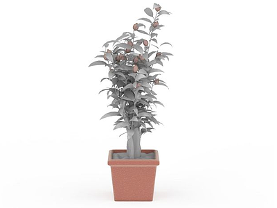 绿色盆栽模型3d模型