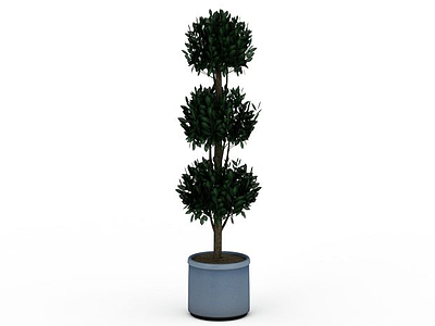 3d<font class='myIsRed'>盆栽植物</font>免费模型
