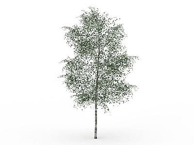 3d小杨树模型