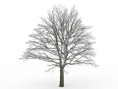 雪树模型