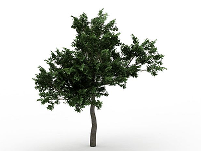 热带树模型3d模型