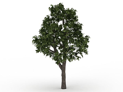 3d<font class='myIsRed'>绿化树</font>免费模型