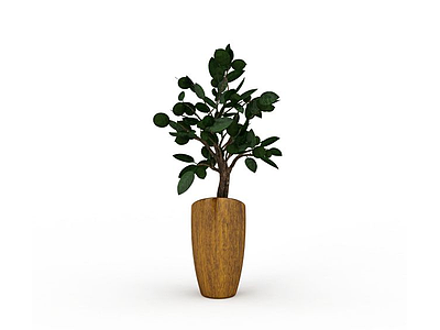 3d槟郎盆栽模型