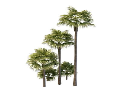 3d<font class='myIsRed'>棕榈</font>树模型