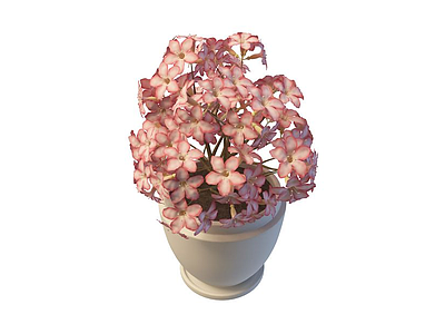 3d粉花盆栽免费模型