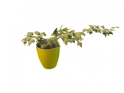 盆栽植物模型