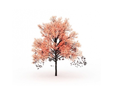 3d粉色树免费模型