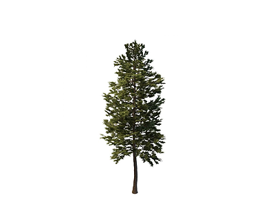 3d松树免费模型
