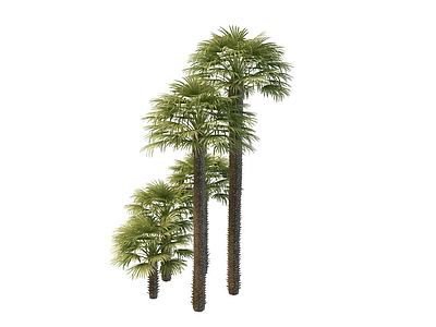 3d<font class='myIsRed'>棕榈</font>树免费模型