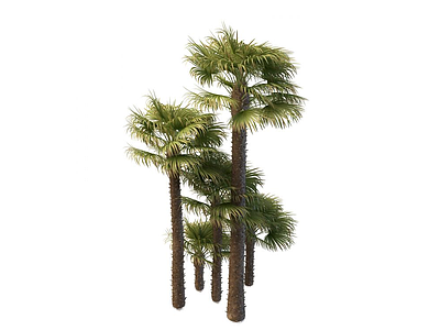 3d<font class='myIsRed'>棕榈树</font>免费模型
