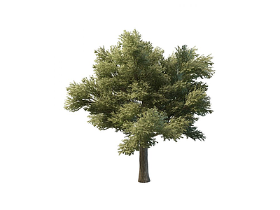 3d<font class='myIsRed'>园林</font>树木免费模型