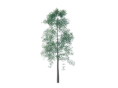 室内仿真树模型3d模型