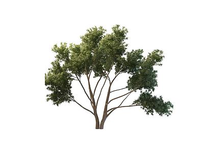 3d园林<font class='myIsRed'>景观</font>树免费模型