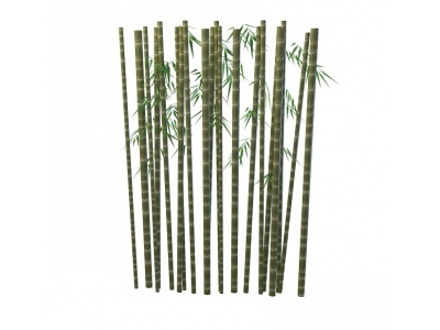 3d青色竹子模型