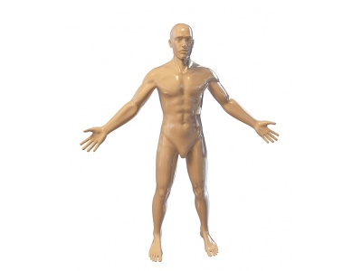 3d男人体模特模型