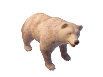 3d狗熊模型
